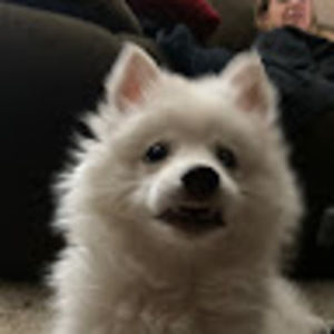 Meet your Posher, Shay